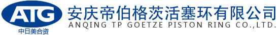 安慶帝伯格茨活塞環有限公司